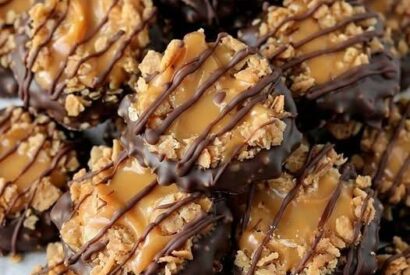 Thumbnail for Simple No-Bake Samoa Cookies