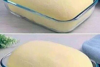 Thumbnail for Cozy Grandma’s Ciabatta Bread