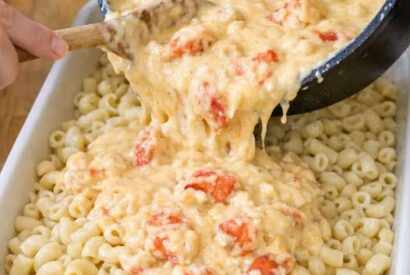 Thumbnail for Pour this 1 decadent mix over macaroni into a baking dish for a special-occasion treat that’s dangerously satisfying